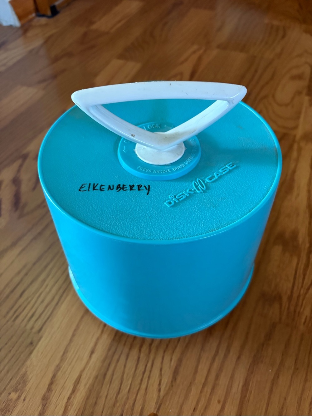 Vintage 45 Disk Go Carrier Case